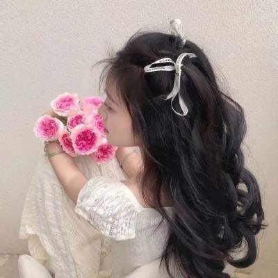 假面女仆